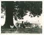 The Farmer's Home- American Vintage Photograph