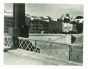 View Of Rome - Vintage Photograph  