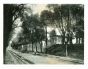 View Of Rome - Vintage Photograph 