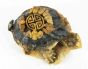 Turtle Paperweight