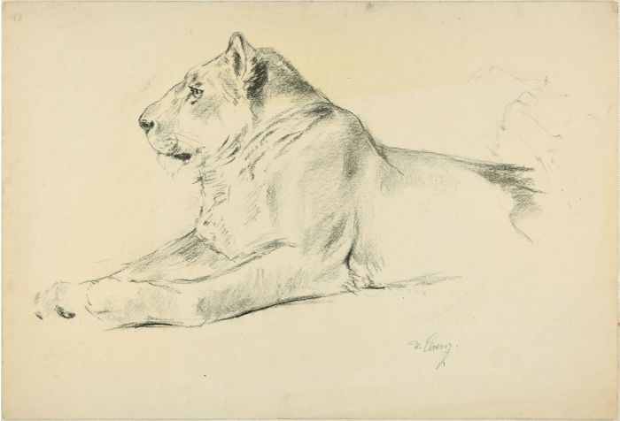 Lioness by Wilhelm Lorenz - Modern Artwork