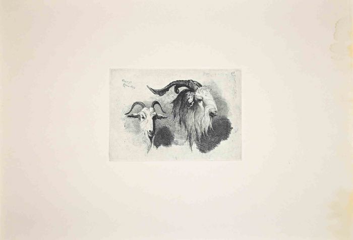 Antelope in the Roman Countryside