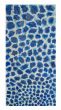 Blue Spots 