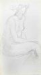 The Posing Nude   