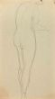 Nude from the back