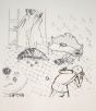 The Insect is an original print in Etching and drypoint technique on ivory-colored paper, realized by Anonymous Artist, in Mid 20th Century.