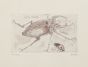  "Insects" by Sergio Barletta - Contemporary Artwork