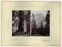 Canada - Cascada Mountains - 10 September 1893 by prince Franz Ferdinand von Osterreich Este - Artwork