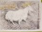 Pericle Fazzini, Untitled, Colored Litograph, 1971, Modern Art, Modern Art Artwork, Graphic Art