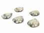 Silver Placeholders - Decorative Objects