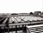 The Solar Panels
