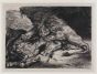 Eugène Delacroix - Lion dévorant un cheval - Modern Art