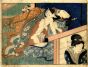 Love Game (Shunga) - SOLD