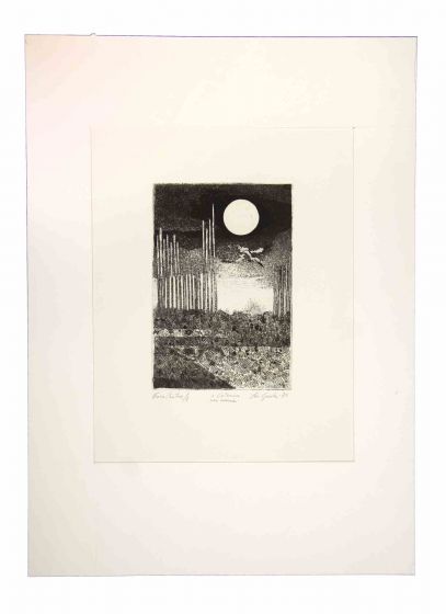 Night Landscape