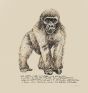 Monkey is an original lithograph on cardboard, realized by Sergio Barletta in 1960.