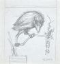 The Crow