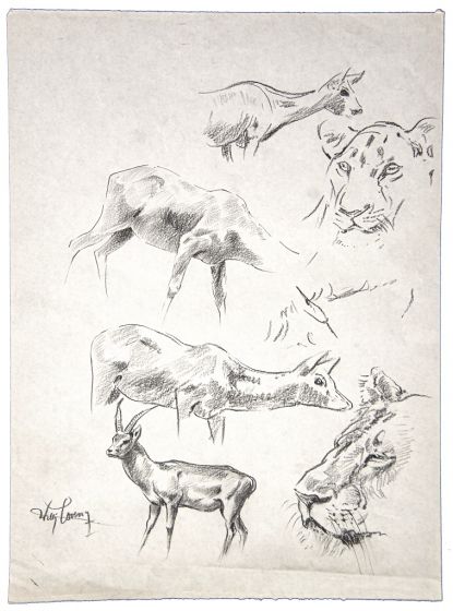Gazzelle, gnu and tiger by Wilhelm Lorenz