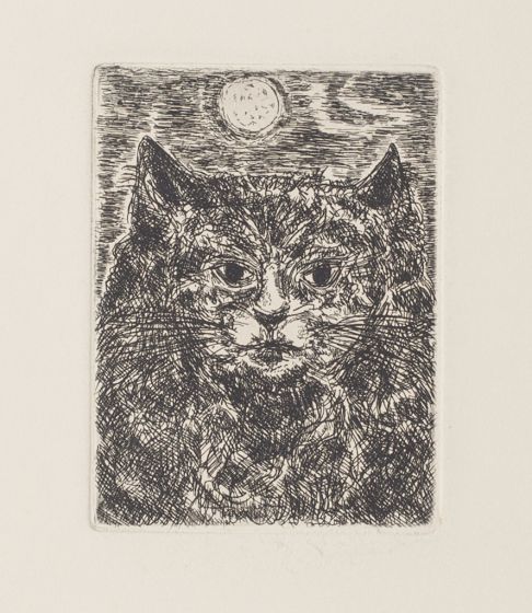 The Cat  by Gian Paolo Berto - Contemporary Artwork