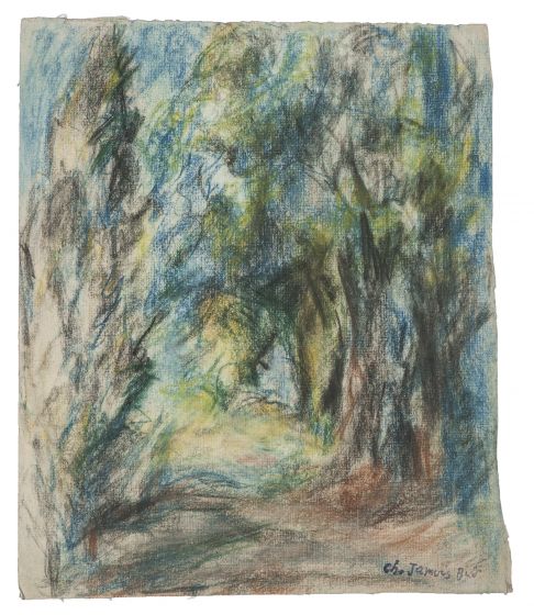 The Forest