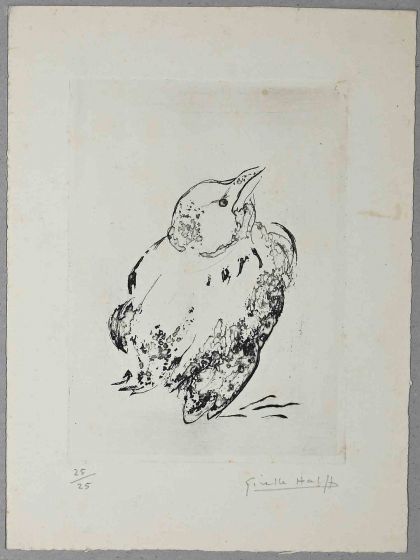 Bird
