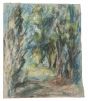 The Forest