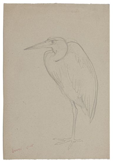 Bird - SOLD