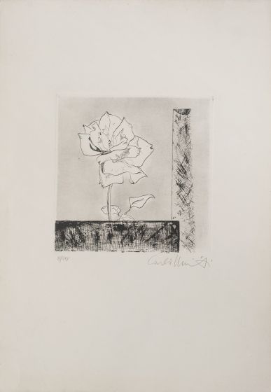 A Rose - Modern Artwork