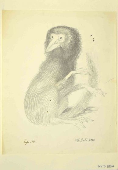 Lemur