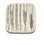 Six "Spikes" series Dishes by Piero Fornasetti - Decorative Objects 