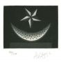 Watermelon and Star by Mario Avati -Contemporary Artwork