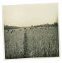 The Old Days - Men in Field