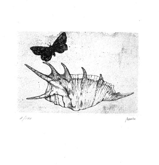 Nel cavo delle mani by Renzo Biasion - Modern Art