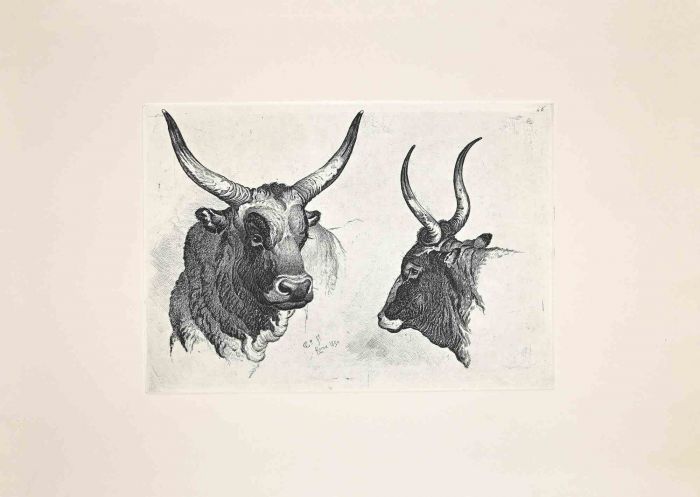 The Bulls  in the Roman Countryside
