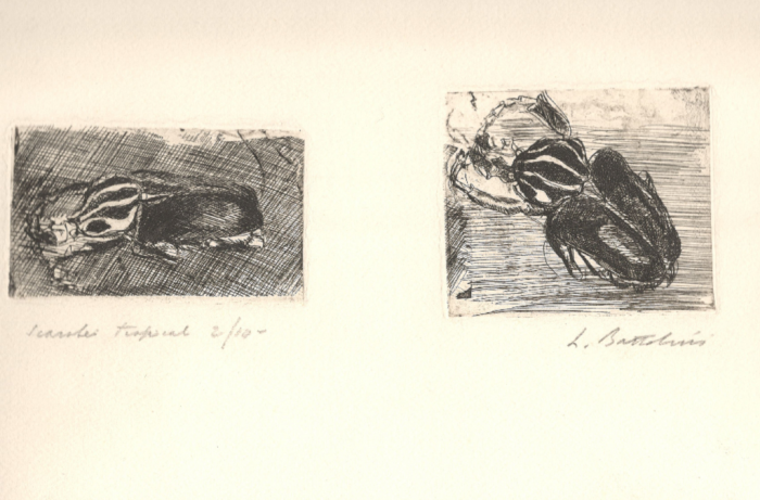 Scarabei Tropicali by Luigi Bartolini - Modern Artworks 