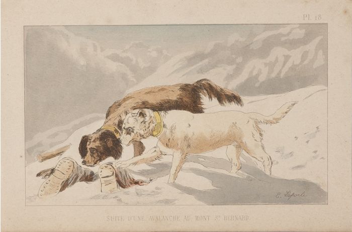 Le Mont St Bernard by Emile Henri Laporte - Modern Artwork 
