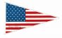 American Pennant Signed by Linus Pauling