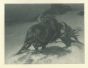Kampf by Franz Von Bayros (Choisy Le Conin) - Modern Artwork