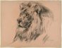 Lion by Wilhelm Lorenz - Modern Artwork