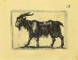 Goat By Antonio Tempesta - Artwork 