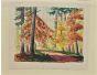 Autumn Landscaoe