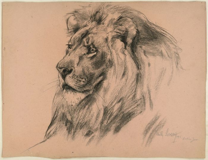 Lion by Wilhelm Lorenz - Modern Artwork
