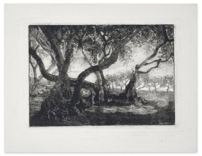 Olivi in Calabria is an original etching realized by Anonympus Artist of the 20th century.