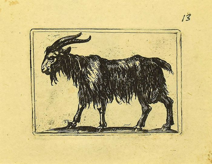 Goat By Antonio Tempesta - Artwork 