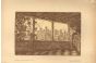 La Diana. Rassegna d'arte e vita senese by Various Authors - Rare Book