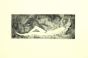 Nude is an original black and white etching realized  by Leo Guida.