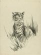 Head of Lion and Tiger by Wilhelm Lorenz - Modern Artwork