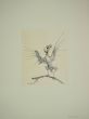 Rapacious by Leo Guida - Contemporary Artwork