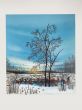 Snowy landscape