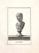 Ancient Roman Bust
