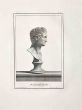 Ancient Roman Bust,